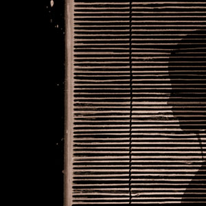 Yume Illustration Bamboo